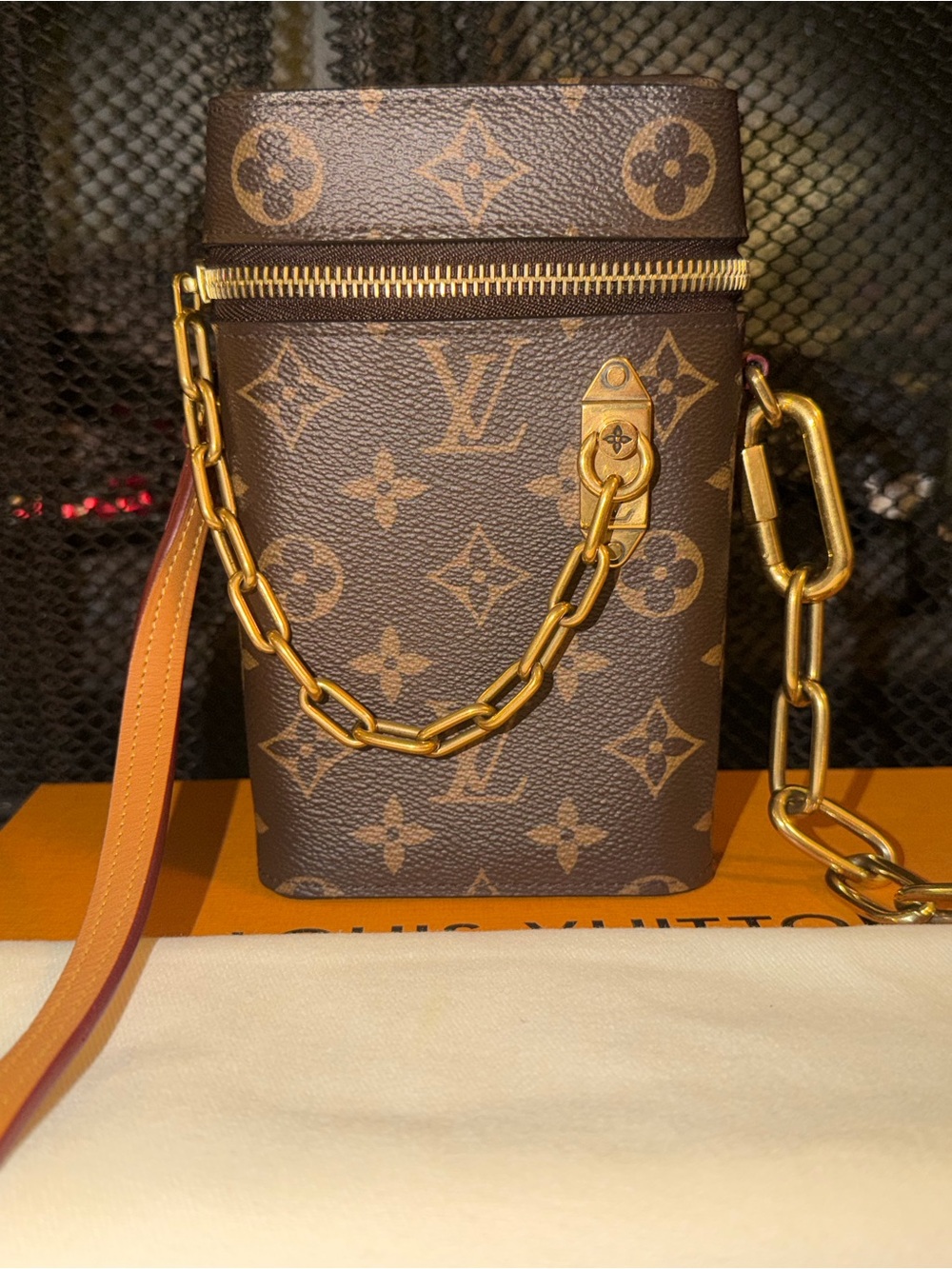 Louis Vuitton Monogram Vertical Vanity Chain Crossbody in Brown and Gold